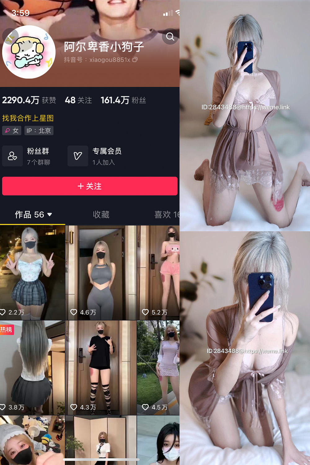 抖音 阿尔卑香小狗子 微密圈  NO.045期 【39P】最新至：2026.6.9-珊瑚兔