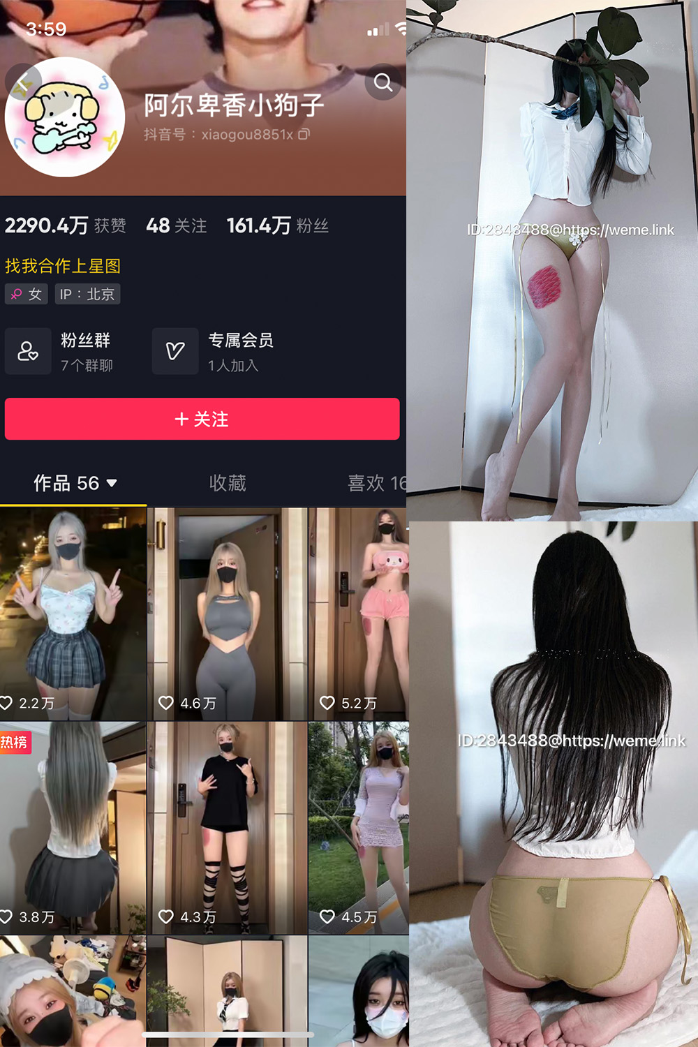 抖音 阿尔卑香小狗子 微密圈  NO.047期 【39P】最新至：2024.6.10-珊瑚兔