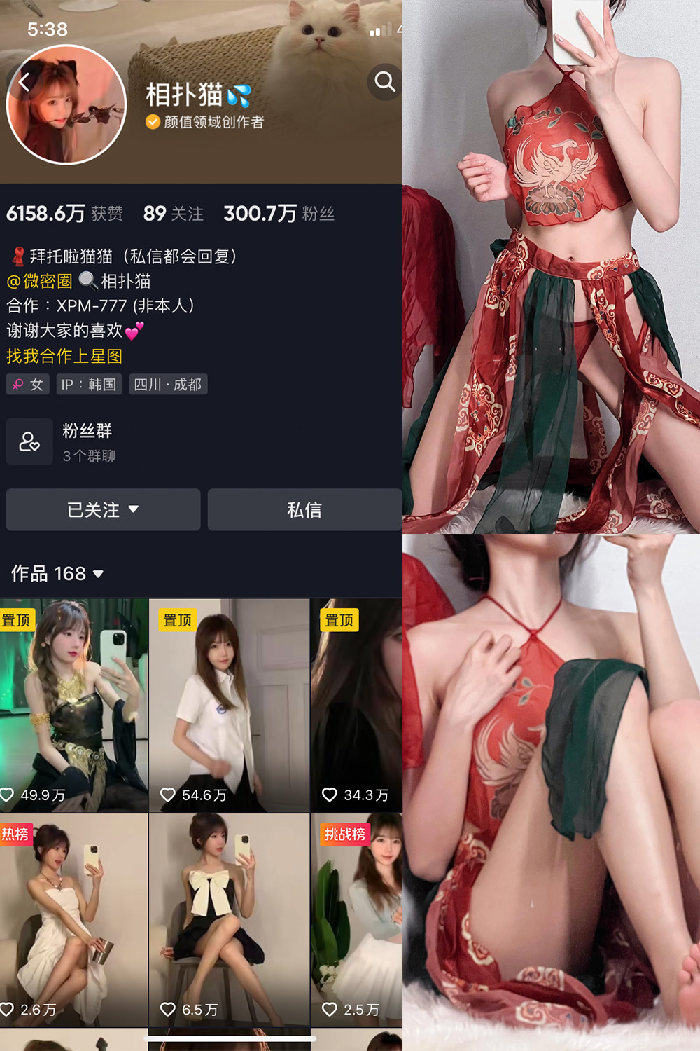 抖音 相扑猫 微密圈 嘉宾贴 NO.034期 【15P】最新至：2024.8.20-珊瑚兔